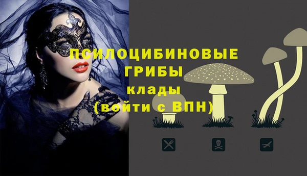 а пвп мука Дмитриев