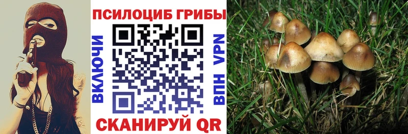 Псилоцибиновые грибы GOLDEN TEACHER  Купить где  Павлово 